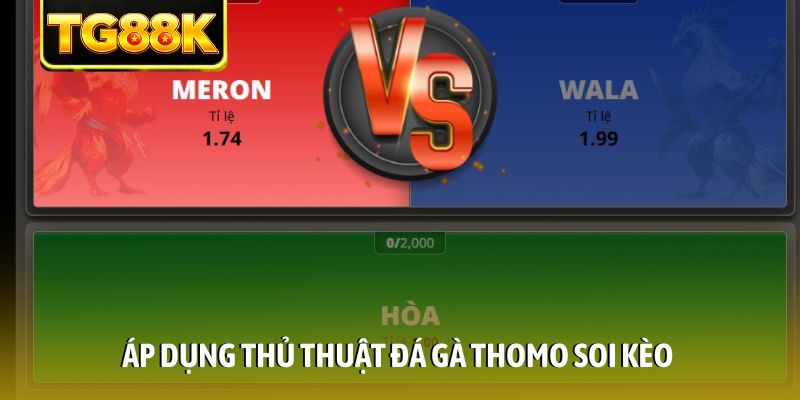 Áp dụng thủ thuật đá gà Thomo soi kèo