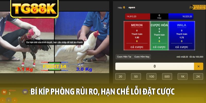 Bí kíp phòng rủi ro, hạn chế lỗi đặt cược