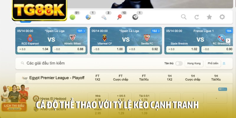 Cá độ thể thao với tỷ lệ kèo cạnh tranh