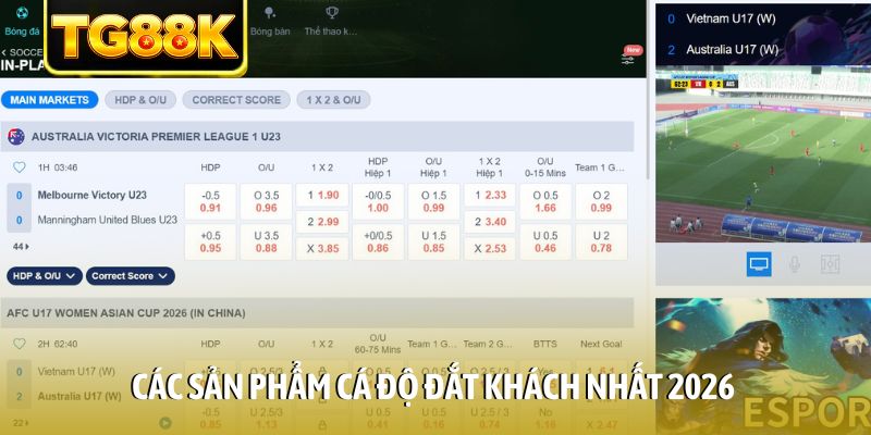 Các sản phẩm cá độ đắt khách nhất 2026 Các sản phẩm cá độ đắt khách nhất 2026
