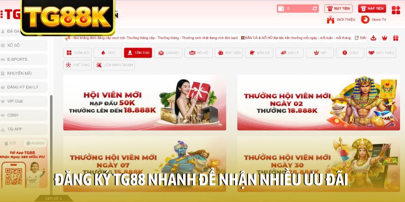 Đăng ký TG88 nhanh để nhận nhiều ưu đãi