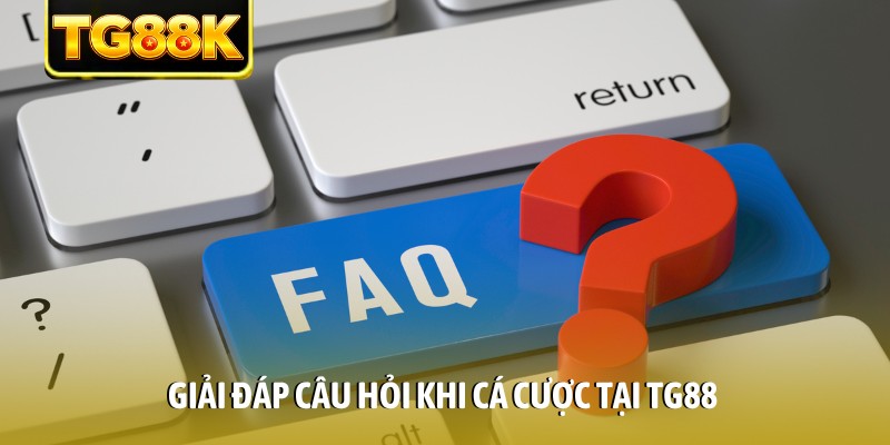 Giải đáp câu hỏi khi cá cược tại TG88