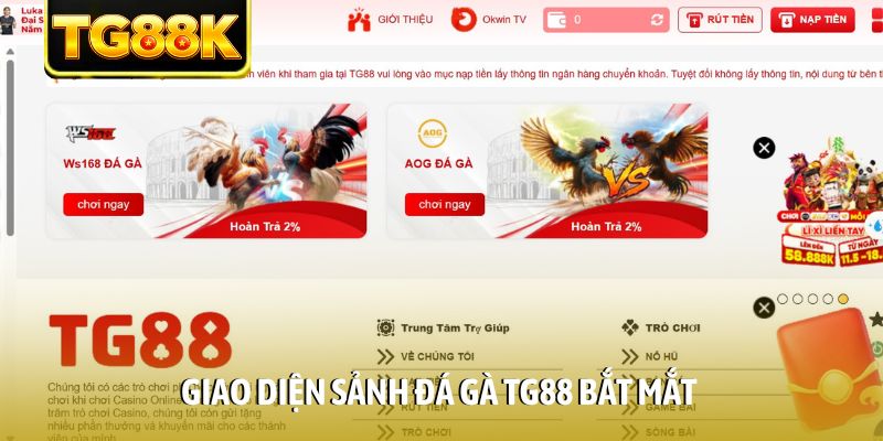 Giao diện sảnh đá gà TG88 bắt mắt