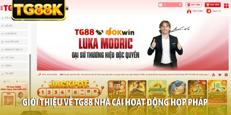 Giới thiệu về TG88 nhà cái hoạt động hợp pháp