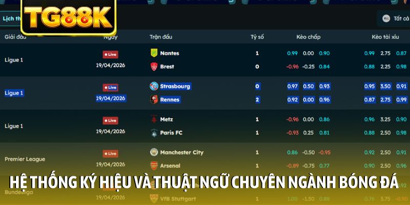 Hệ thống ký hiệu và thuật ngữ chuyên ngành bóng đá