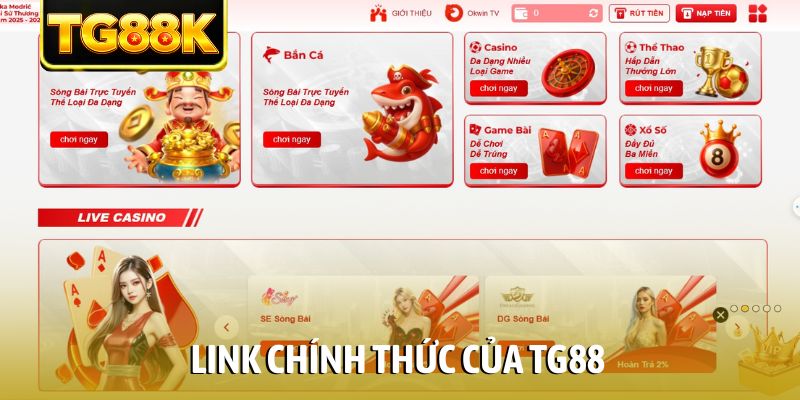 Link Chính Thức Của TG88 – Cách Truy Cập Nhà Cái An Toàn