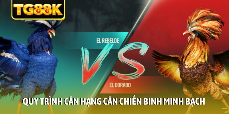 Quy trình cân hạng cân chiến binh minh bạch