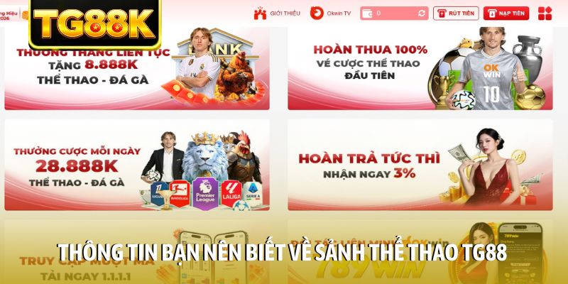 Thông tin bạn nên biết về sảnh thể thao TG88 Thông tin bạn nên biết về sảnh thể thao TG88