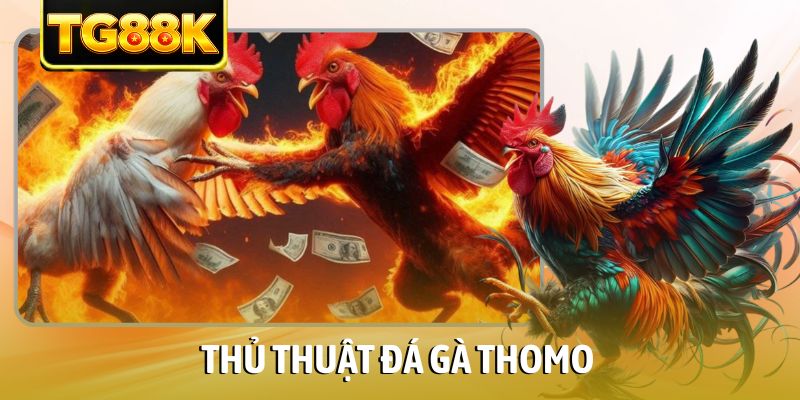 Thủ Thuật Đá Gà Thomo Và Bí Quyết Soi Kèo Thắng Lớn Tại TG88