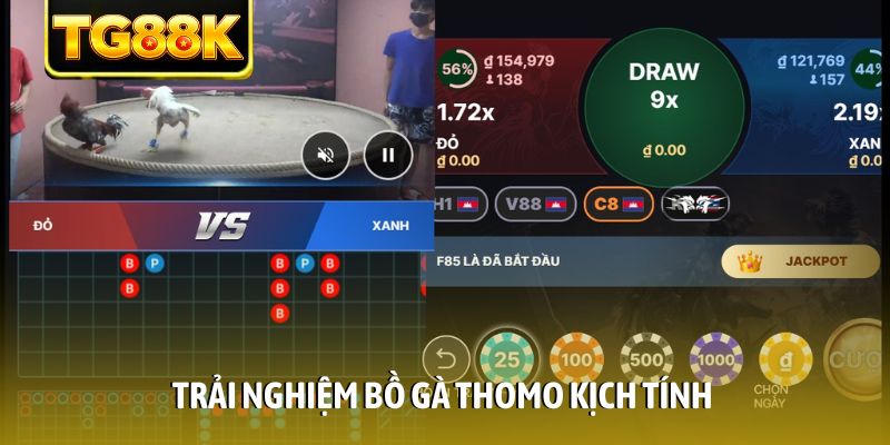 Trải nghiệm bồ gà Thomo kịch tính