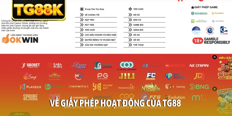 Về giấy phép hoạt động của TG88