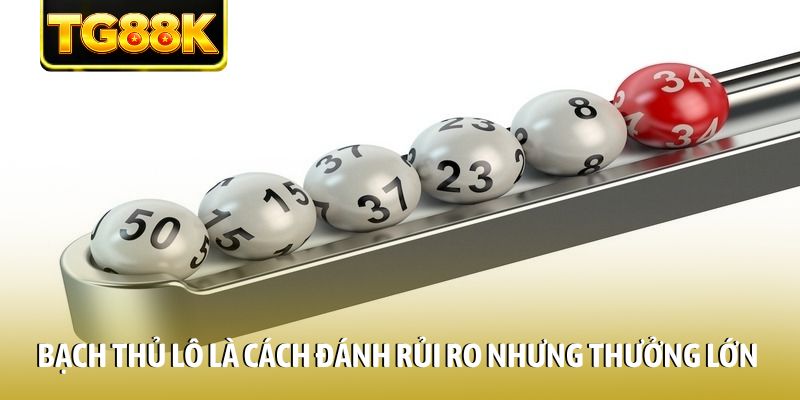 Bạch thủ lô là cách đánh rủi ro nhưng thưởng lớn