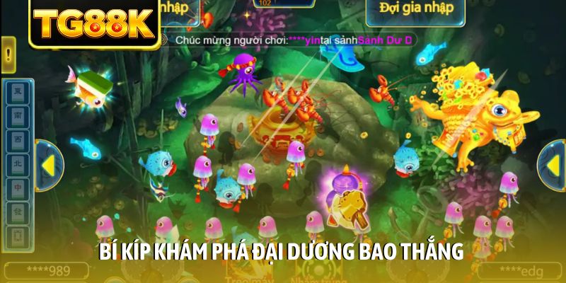 Bí kíp khám phá đại dương bao thắng