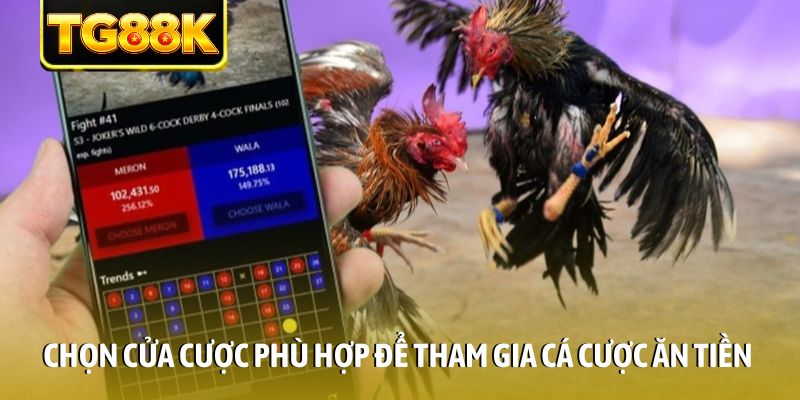 Chọn cửa cược phù hợp để tham gia cá cược ăn tiền