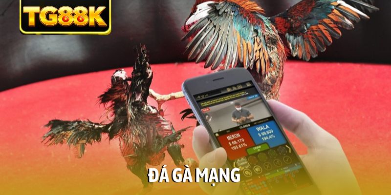 Đá gà mạng