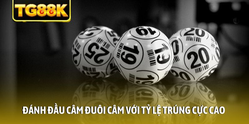 Đánh đầu câm đuôi câm với tỷ lệ trúng cực cao