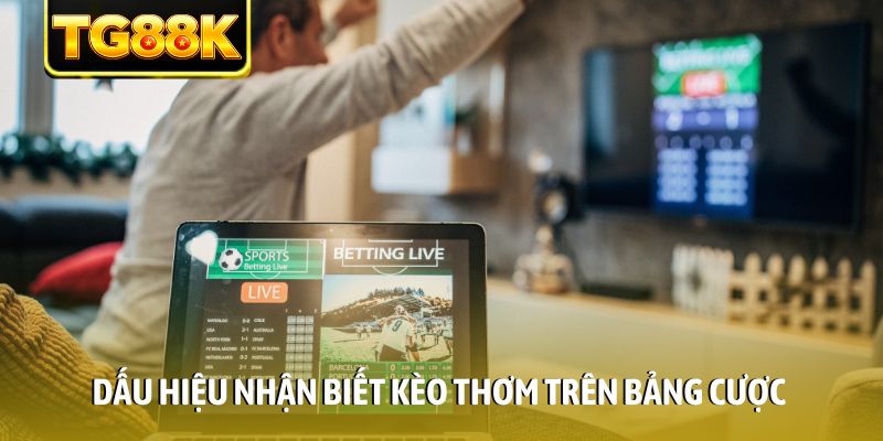 Dấu hiệu nhận biết kèo thơm trên bảng cược