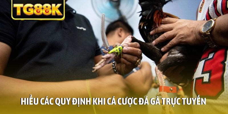 Hiểu các quy định khi cá cược đá gà trực tuyến