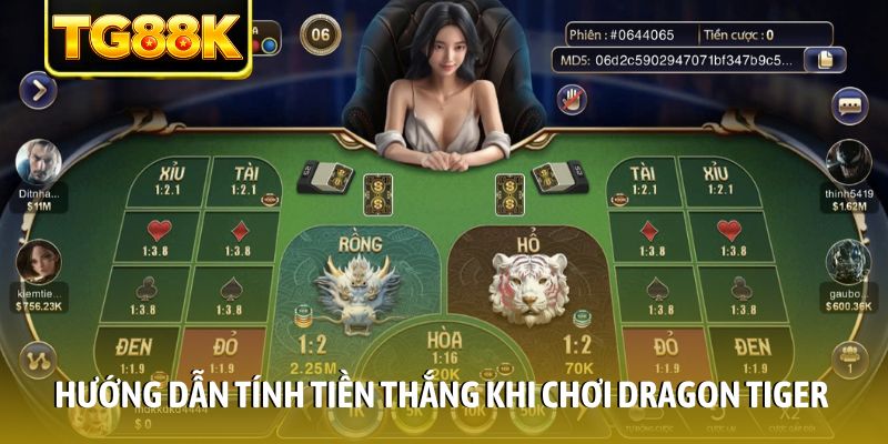 Hướng dẫn tính tiền thắng khi chơi dragon tiger