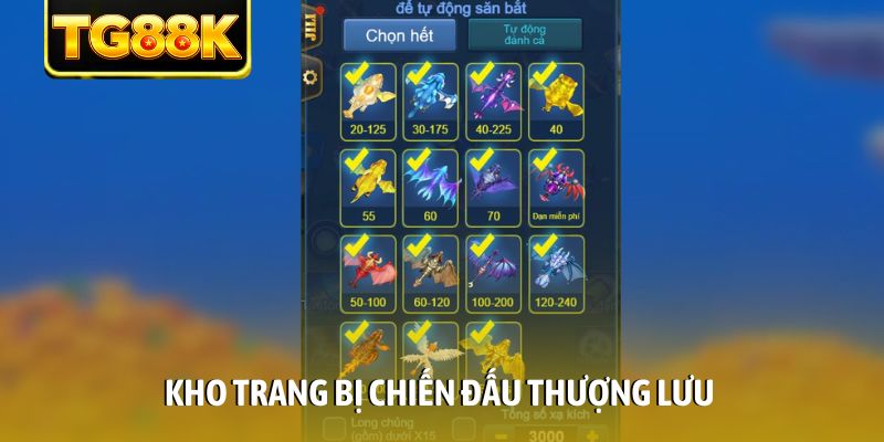 Kho trang bị chiến đấu thượng lưu