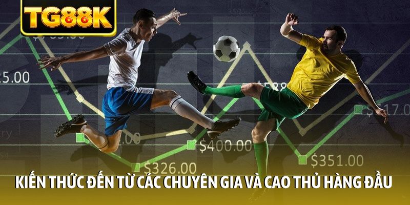 Kiến thức đến từ các chuyên gia và cao thủ hàng đầu