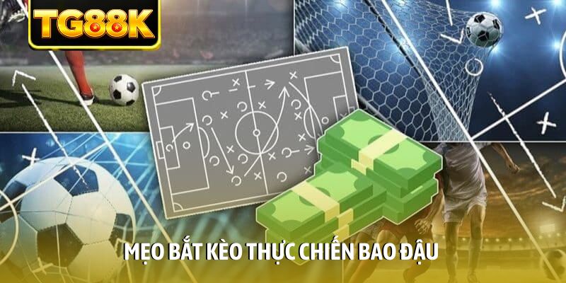 Mẹo bắt kèo thực chiến bao đậu