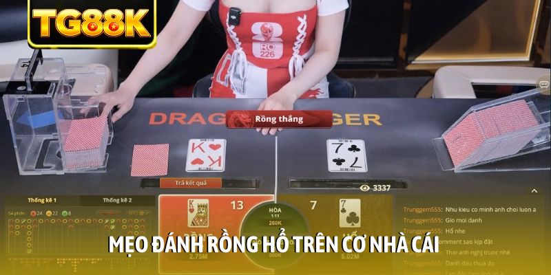 Mẹo đánh rồng hổ trên cơ nhà cái