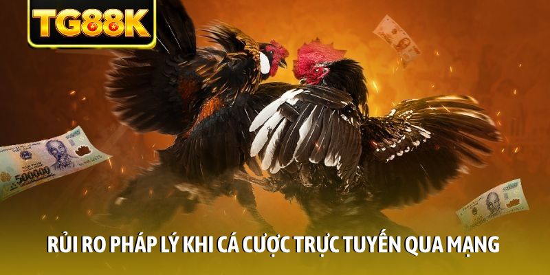 Rủi ro pháp lý khi cá cược trực tuyến qua mạng