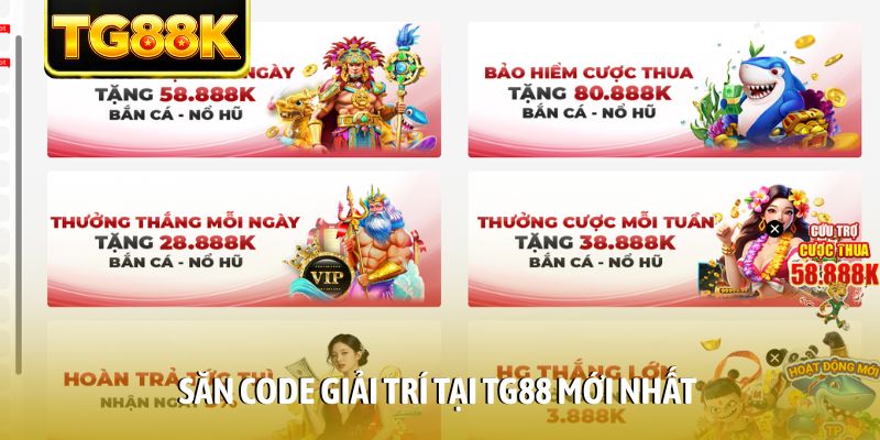 Săn code giải trí tại TG88 mới nhất