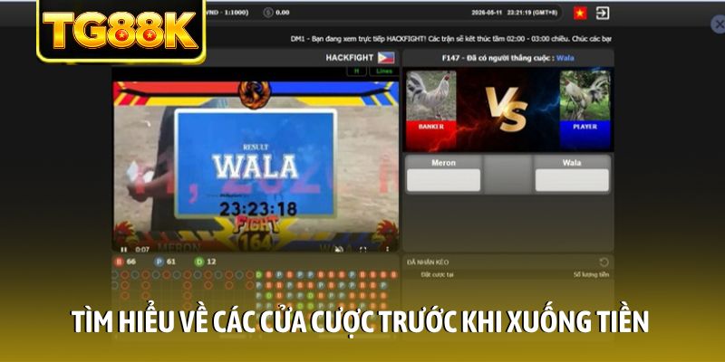 Tìm hiểu về các cửa cược trước khi xuống tiền