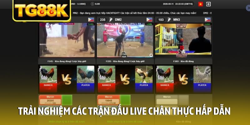 Trải nghiệm các trận đấu live chân thực hấp dẫn